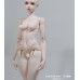 61cm 1/3 size plump girl Doll Body LIMITED【IMPL DOLL】BJD SD13 1/3 size 61cm girl doll body