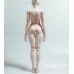 61cm 1/3 size plump girl Doll Body LIMITED【IMPL DOLL】BJD SD13 1/3 size 61cm girl doll body
