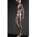 71cm boy Doll Body LIMITED【Huajing Doll】BJD SD17 uncle BJD doll body 71cm boy doll