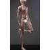 71cm boy Doll Body LIMITED【Huajing Doll】BJD SD17 uncle BJD doll body 71cm boy doll