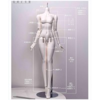 1/4 size Qingmeng girl Doll Body LIMITED【WhooshDoll/观风与月舒】BJD MSD 1/4 size 50cm girl doll body