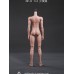 1/4 grace girl/boy Doll Body【Dollfamily-H】DF-H BJD MSD 1/4 size 45-46cm boy/girl doll body 1/4 grace girl/boy Doll Body【Dollfamily-H】DF-H BJD MSD 1/4 size 45-46cm boy/girl doll body