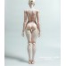 61cm 1/3 size plump girl Doll Body LIMITED【IMPL DOLL】BJD SD13 1/3 size 61cm girl doll body 61cm 1/3 size plump girl Doll Body LIMITED【IMPL DOLL】BJD SD13 1/3 size 61cm girl doll body