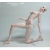 61cm 1/3 size plump girl Doll Body LIMITED【IMPL DOLL】BJD SD13 1/3 size 61cm girl doll body 61cm 1/3 size plump girl Doll Body LIMITED【IMPL DOLL】BJD SD13 1/3 size 61cm girl doll body