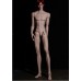 75 stray dogs slim boy doll BODY LIMITED【Asai】BJD ID75 75cm size boy doll body