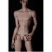 75 stray dogs slim boy doll BODY LIMITED【Asai】BJD ID75 75cm size boy doll body