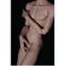75 stray dogs slim boy doll BODY LIMITED【Asai】BJD ID75 75cm size boy doll body