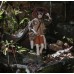 Botanist doll outift LIMITED【XiaXia handmade】MSD 1/4 size BJD doll outfit set