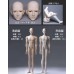 53cm special 1/4 size Boy Doll Body【DF-A】BJD MSD 1/4 53cm size special boy doll body