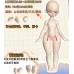 1/6 fat doll BODY LIMITED【Cloud Jelly Doll】1/6 YOSD BJD girl doll body 29cm