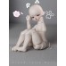 1/6 fat doll BODY LIMITED【Cloud Jelly Doll】1/6 YOSD BJD girl doll body 29cm