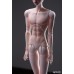 1/4 special size Yuze/玉泽体 boy Doll Body LIMITED【Huajing Doll】BJD MSD 1/4 size 50cm boy doll body