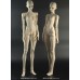 66cm/68cm girl Doll Body LIMITED【Another Secret】ANS BJD SD16 1/3 size girl doll body