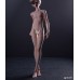 1/4 size Heroic/英姿体 boy Doll Body LIMITED【Huajing Doll】BJD MSD 1/4 size 46cm boy doll body