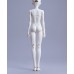 1/4 coconut boy Doll Body LIMITED【BonBon galaxy】BJD MSD 1/4 size 44cm boy doll body
