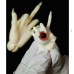 Devil jointed hands LIMITED【BTCdoll】BJD SD17 ID75 1/4 MSD doll use hands