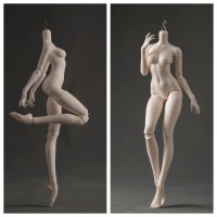 44cm Lady girl Doll Body LIMITED【Coral Reef】BJD MSD 1/4 size 44cm girl doll body