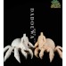 Maodou spider doll BODY Only LIMITED【大豆蛙/Dadouwa】BJD YOSD 1/6 size animal doll body Maodou spider doll BODY Only LIMITED【大豆蛙/Dadouwa】BJD YOSD 1/6 size animal doll body