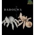 Maodou spider doll BODY Only LIMITED【大豆蛙/Dadouwa】BJD YOSD 1/6 size animal doll body Maodou spider doll BODY Only LIMITED【大豆蛙/Dadouwa】BJD YOSD 1/6 size animal doll body