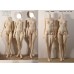 59cm/61cm girl doll Body only LIMITED【Another Secret】ANS BJD SD13 1/3 size girl doll BODY 59cm/61cm girl doll Body only LIMITED【Another Secret】ANS BJD SD13 1/3 size girl doll BODY