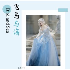 Bird and Sea doll outift LIMITED【Xiaomeng/筱梦】BJD MSD SD13 SD16 girl doll outfit set