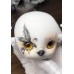 Gugugaga bird doll head LIMITED【腿毛自制】BJD 1/6 YO-SD animal doll head Gugugaga bird doll head LIMITED【腿毛自制】BJD 1/6 YO-SD animal doll head