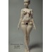 44cm 1/4 size plump girl Doll Body LIMITED【IMPL DOLL】BJD MSD 1/4 size girl doll body