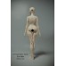 44cm 1/4 size plump girl Doll Body LIMITED【IMPL DOLL】BJD MSD 1/4 size girl doll body