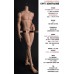 GM-75 boy Doll Body LIMITED【GMDOLL】BJD 75cm uncle doll body ID75