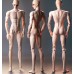 75cm/77cm Niannian boy Doll Body LIMITED【Aolingshi*Lisinian】BJD 75cm 77cm uncle doll body ID75 AM77 75cm/77cm Niannian boy Doll Body LIMITED【Aolingshi*Lisinian】BJD 75cm 77cm uncle doll body ID75 AM77
