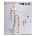 1/4 size Huiling Doll Body LIMITED【Harvest Moon Doll】BJD MSD 1/4 size 45cm girl doll body 1/4 size Huiling Doll Body LIMITED【Harvest Moon Doll】BJD MSD 1/4 size 45cm girl doll body