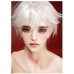 Lu 2 styles doll HEAD LIMITED【夜莺自制/Nightingale】BJD ID75 SD17 75cm/70cm size boy doll head