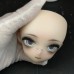Taole/桃乐 doll HEAD LIMITED【Forest Rabbit Zhizhi】BJD MSD 1/4 size girl/boy doll head