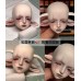 Valai sheep doll HEAD LIMITED【宙斯养老院/Zeus Nursing Home】BJD MSD 1/4 size animal doll head Valai sheep doll HEAD LIMITED【宙斯养老院/Zeus Nursing Home】BJD MSD 1/4 size animal doll head
