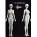 1/3 size girl doll BODY LIMITED【Evantasy】1/3 SD13 58CM size BJD girl doll body 1/3 size girl doll BODY LIMITED【Evantasy】1/3 SD13 58CM size BJD girl doll body