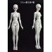 1/3 size girl doll BODY LIMITED【Evantasy】1/3 SD13 58CM size BJD girl doll body 1/3 size girl doll BODY LIMITED【Evantasy】1/3 SD13 58CM size BJD girl doll body