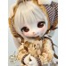 Pidun little dog Doll HEAD only LIMITED【Honeyo-甜哟崽】1/6 YO-SD size animal BJD doll head