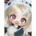 Pidun little dog Doll HEAD only LIMITED【Honeyo-甜哟崽】1/6 YO-SD size animal BJD doll head