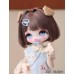 Pidun little dog Doll HEAD only LIMITED【Honeyo-甜哟崽】1/6 YO-SD size animal BJD doll head