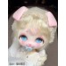 Pidun little dog Doll HEAD only LIMITED【Honeyo-甜哟崽】1/6 YO-SD size animal BJD doll head