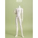 70cm Pine boy Doll Body LIMITED【BonBon Galaxy】BJD SD17 uncle BJD doll body 70cm