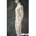 【STOCK】70cm uncle Doll Body LIMITED【UFdoll】BJD SD17 uncle BJD doll body 70cm