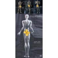 71cm Boy Doll Body LIMITED【Another Secret】ANS BJD SD17 1/3 size boy doll body