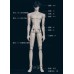 Anyao/Anyao-SP boy doll LIMITED【The Voice】BJD 75cm uncle doll ID75 size