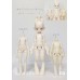 1/6 size Motipai animal Doll Body LIMITED【闲云自制/Cloud selfmade】BJD YOSD 1/6 size 35cm BJD doll body