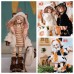 Cat Story doll outift LIMITED【Xinru handmade】1/4 1/6 MSD YOSD girl doll outfit set Cat Story doll outift LIMITED【Xinru handmade】1/4 1/6 MSD YOSD girl doll outfit set