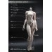 72cm girl Doll Body LIMITED【Another Secret】ANS BJD SD17 1/3 size girl doll body