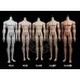 CP77 boy Doll Body LIMITED【CP doll】BJD 77cm strong uncle doll body