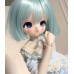 Cartoon Doll Head LIMITED【困猫自制/Sleepy cat】BJD MSD 1/4 size cute doll heads