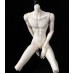 1/4 Xihe boy Doll Body LIMITED【Soul Cat】BJD MSD 1/4 size 50cm boy doll body 1/4 Xihe boy Doll Body LIMITED【Soul Cat】BJD MSD 1/4 size 50cm boy doll body